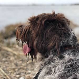 Meet your Posher, Tricia olcott